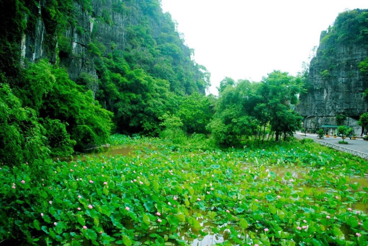 Tamcoc Viet Tan Homestay & Garden Нин Бин Екстериор снимка