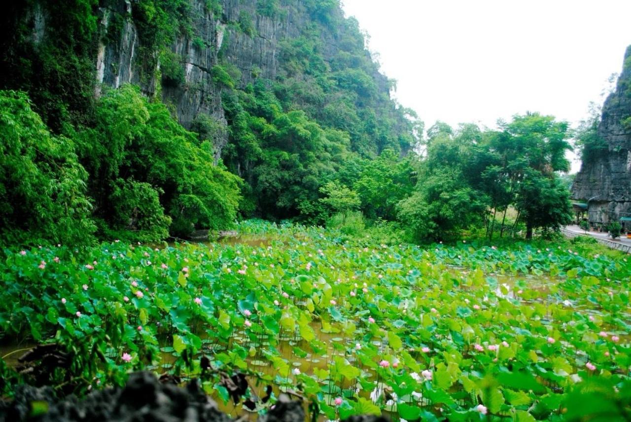 Tamcoc Viet Tan Homestay & Garden Нин Бин Екстериор снимка