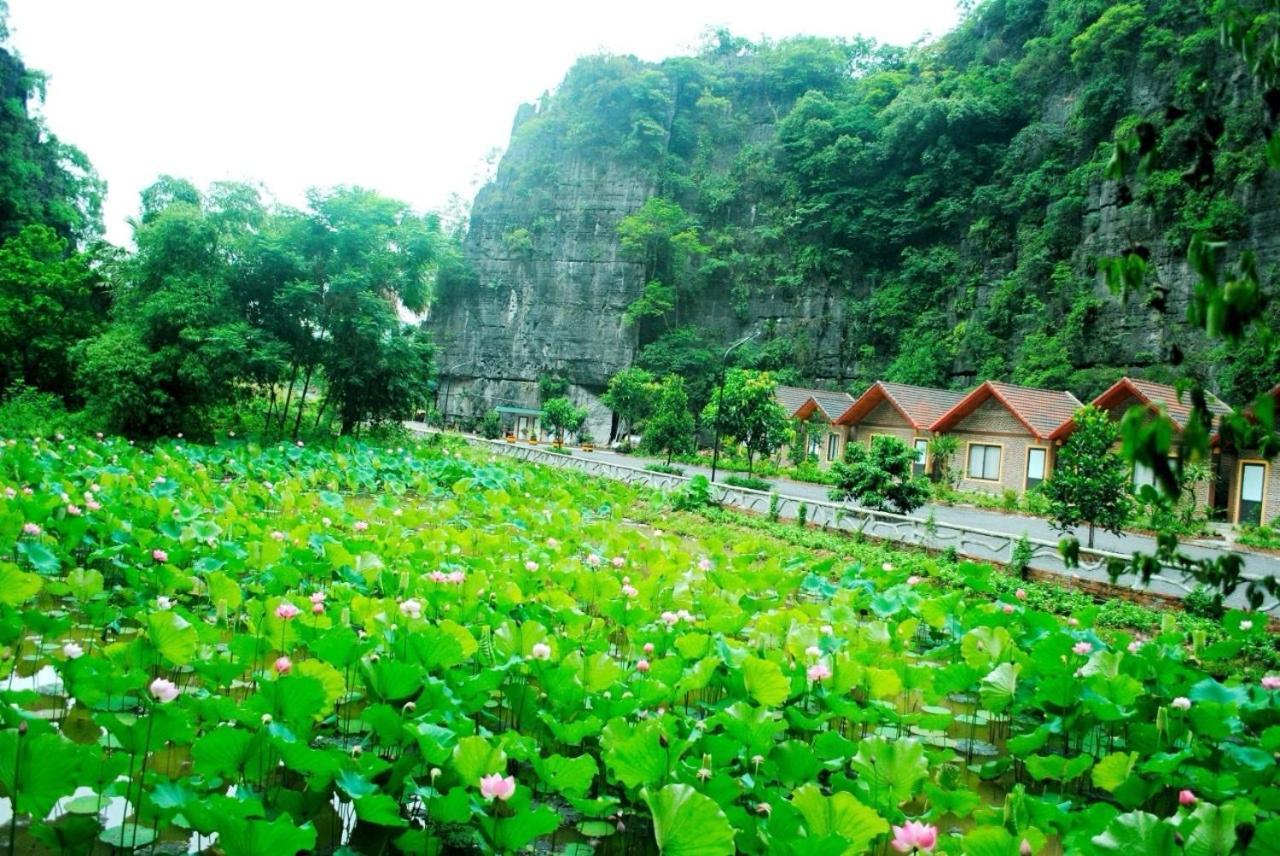 Tamcoc Viet Tan Homestay & Garden Нин Бин Екстериор снимка