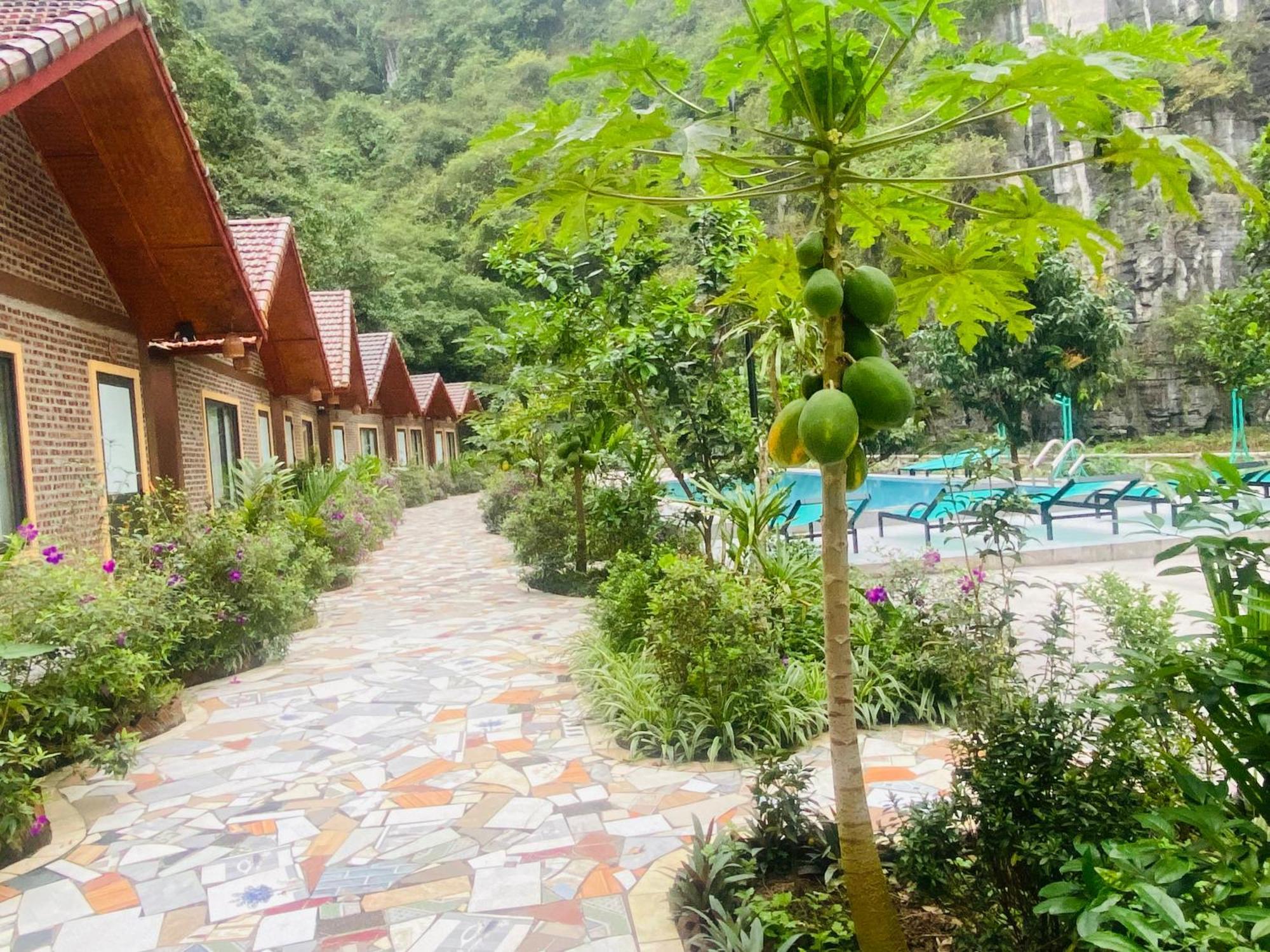 Tamcoc Viet Tan Homestay & Garden Нин Бин Екстериор снимка